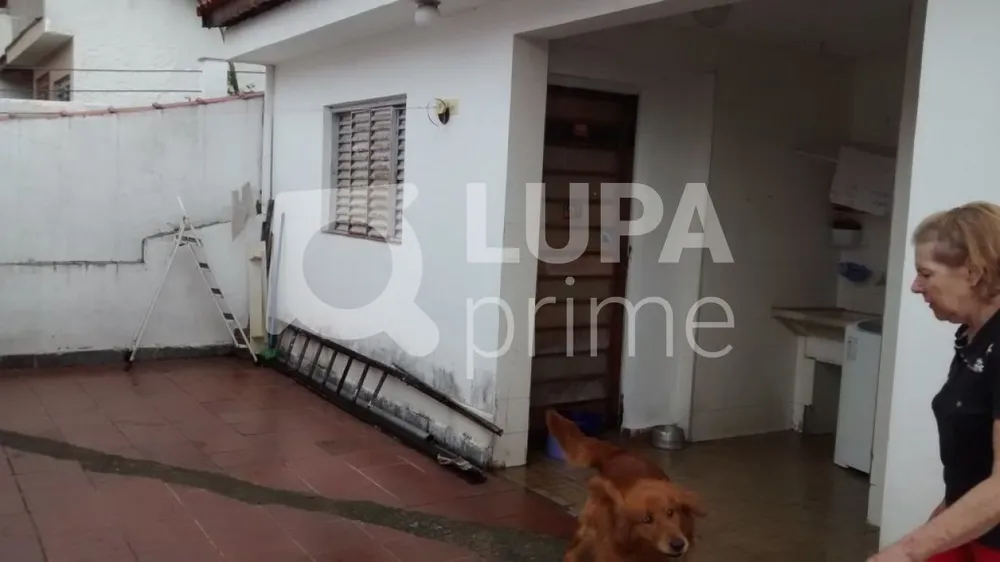 Casa, 3 quartos, 200 m² - Foto 16