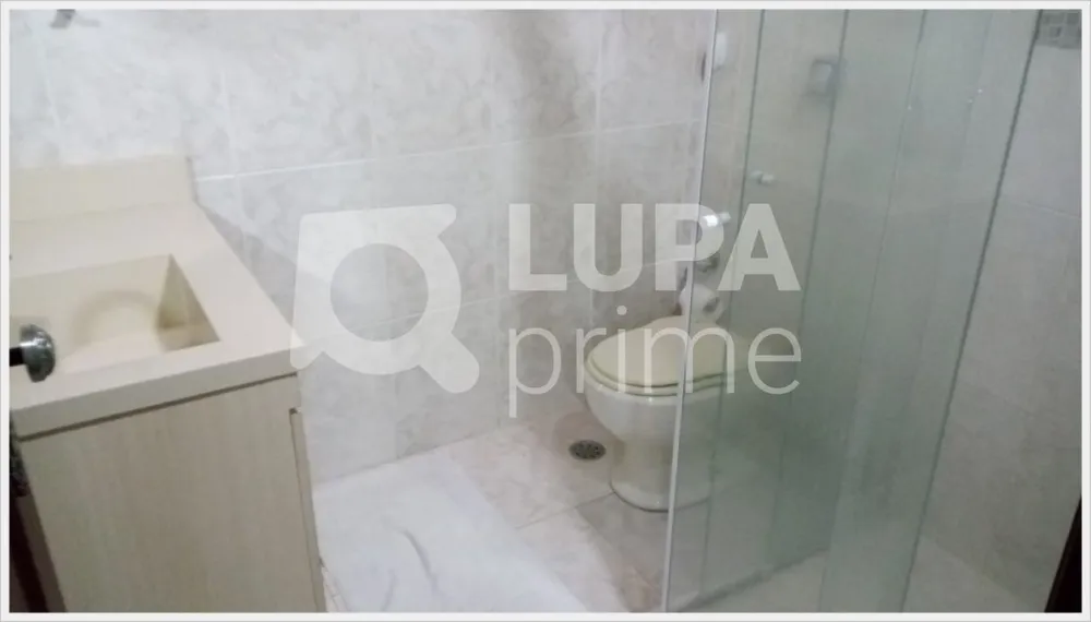 Casa, 4 quartos, 340 m² - Foto 14