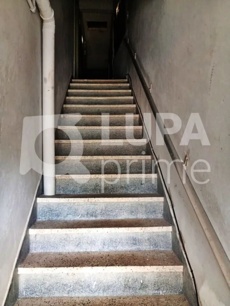 Casa, 6 quartos, 200 m² - Foto 4