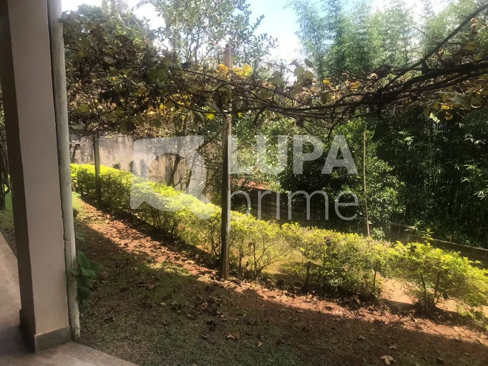Casa, 4 quartos, 358 m² - Foto 11