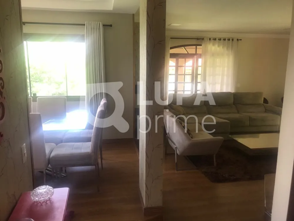 Casa, 4 quartos, 358 m² - Foto 12