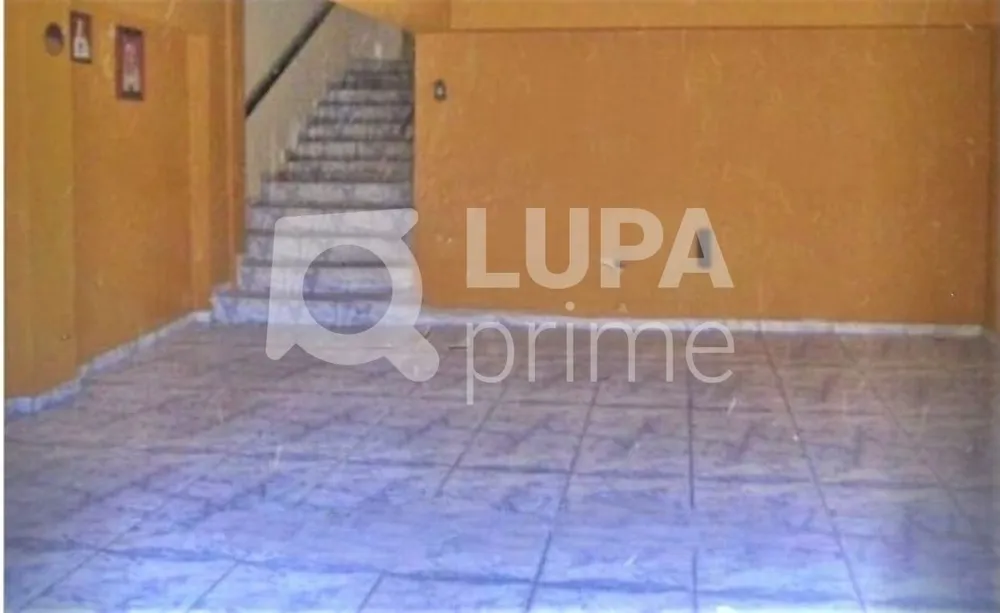 Casa, 4 quartos, 111 m² - Foto 5