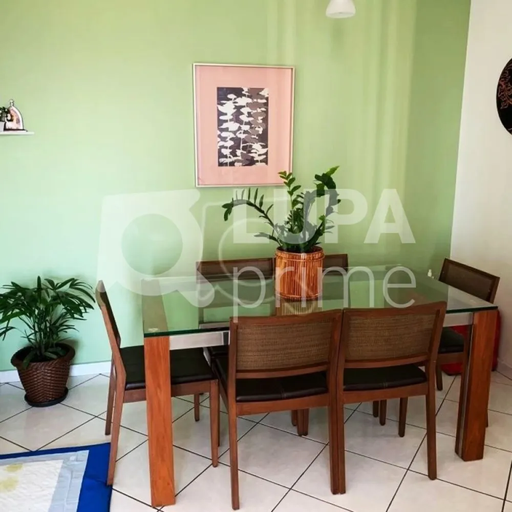 Apartamento, 3 quartos, 90 m² - Foto 5