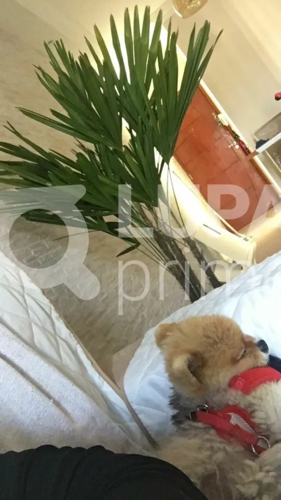 Apartamento, 2 quartos, 47 m² - Foto 11