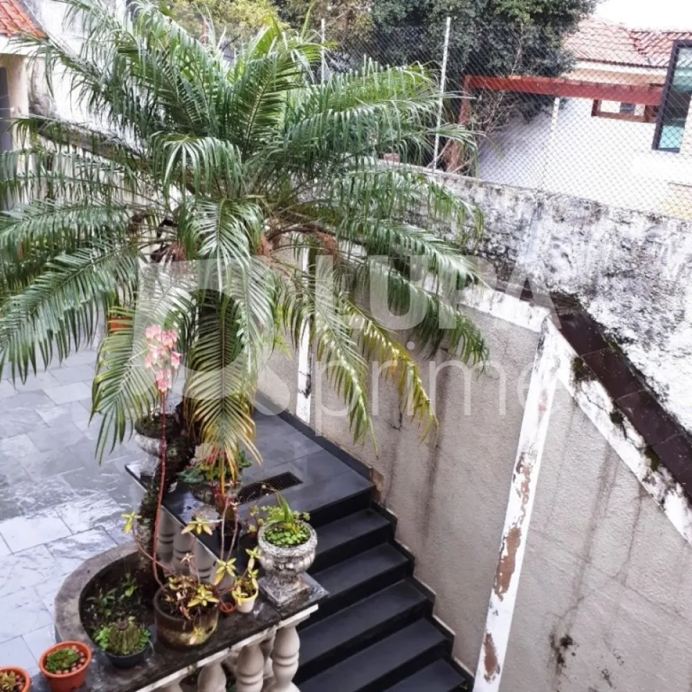 Casa, 3 quartos, 250 m² - Foto 16