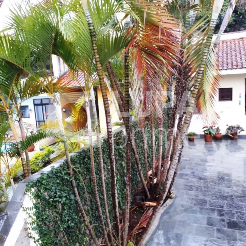 Casa, 3 quartos, 250 m² - Foto 15