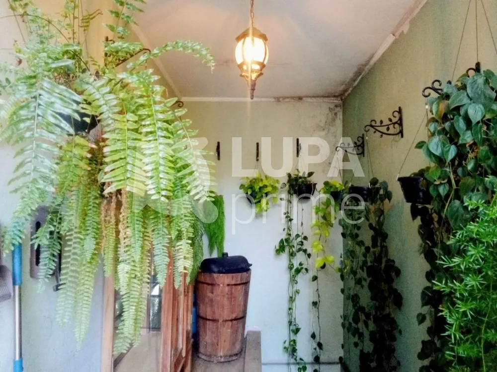 Casa, 3 quartos, 330 m² - Foto 16