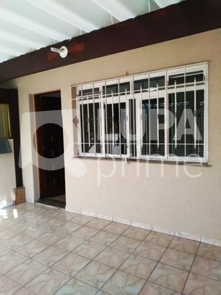 Casa, 5 quartos, 230 m² - Foto 10