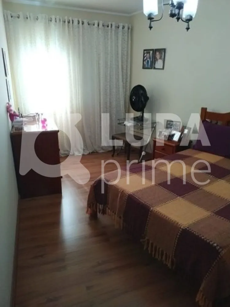 Casa, 5 quartos, 230 m² - Foto 6