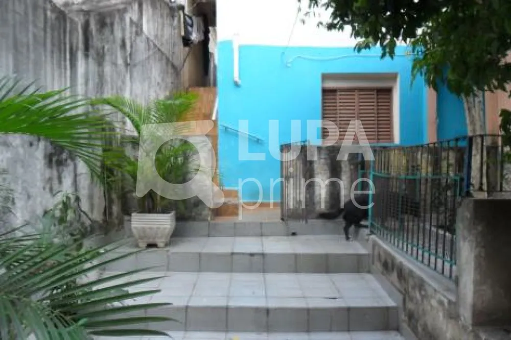 Casa, 3 quartos, 350 m² - Foto 9
