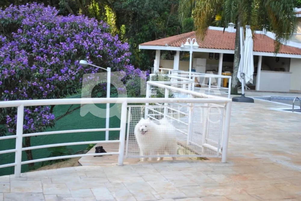 Casa, 4 quartos, 510 m² - Foto 10