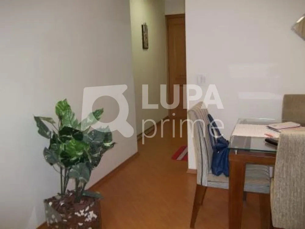 Apartamento, 3 quartos, 86 m² - Foto 10