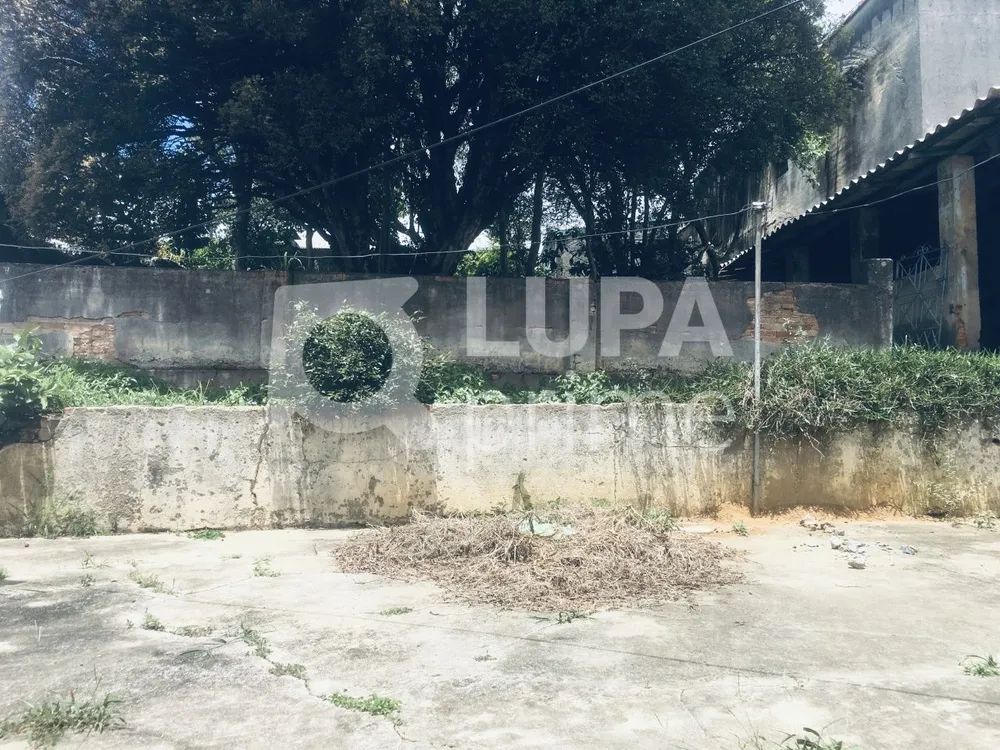 Casa, 3 quartos, 140 m² - Foto 6