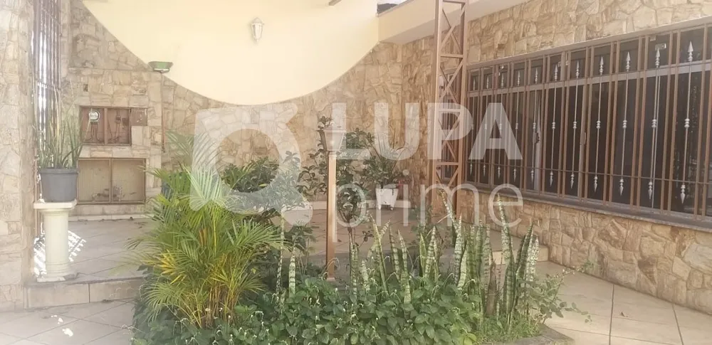 Casa, 3 quartos, 310 m² - Foto 9