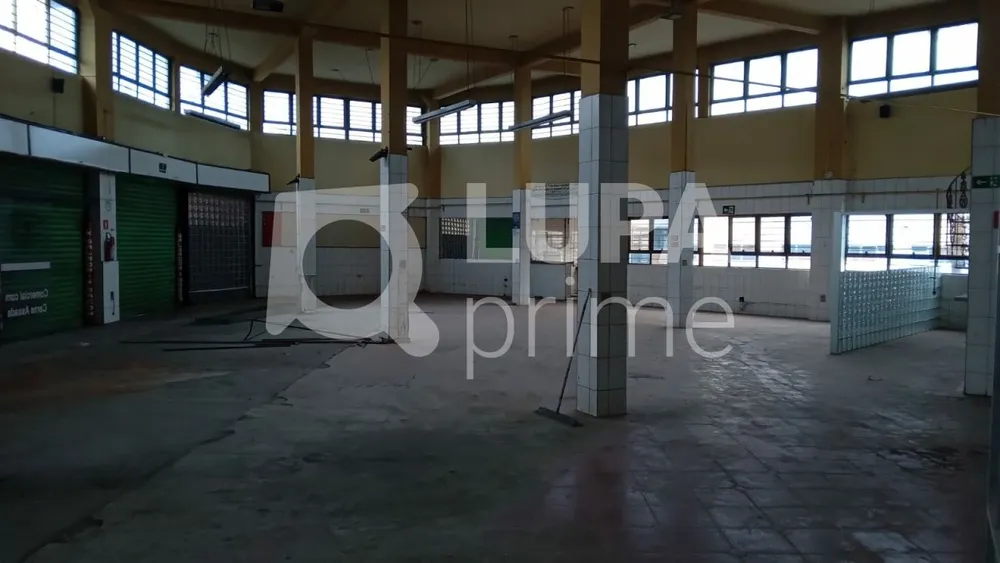 Prédio Inteiro, 522 m² - Foto 5