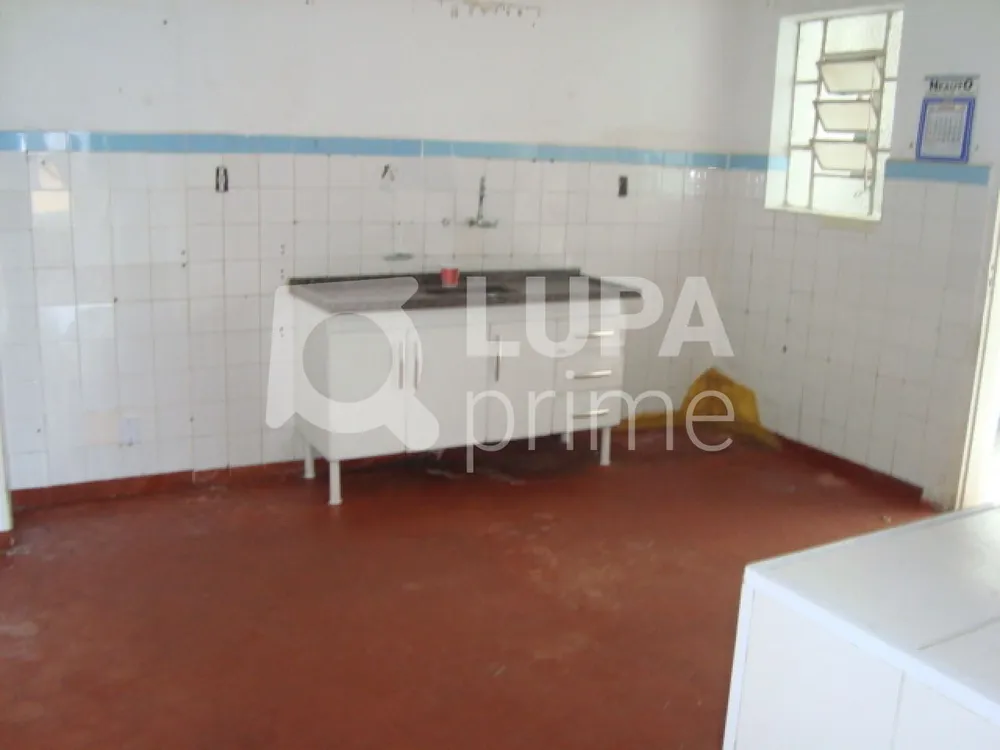 Casa, 6 quartos, 225 m² - Foto 6