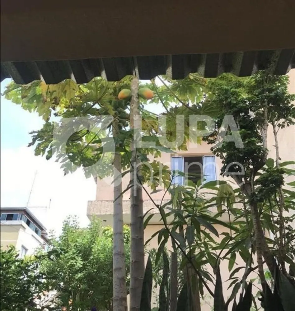 Casa, 10 quartos, 250 m² - Foto 6