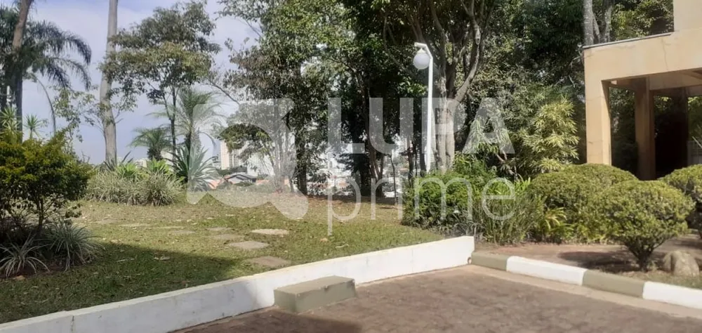 Casa, 4 quartos, 500 m² - Foto 9