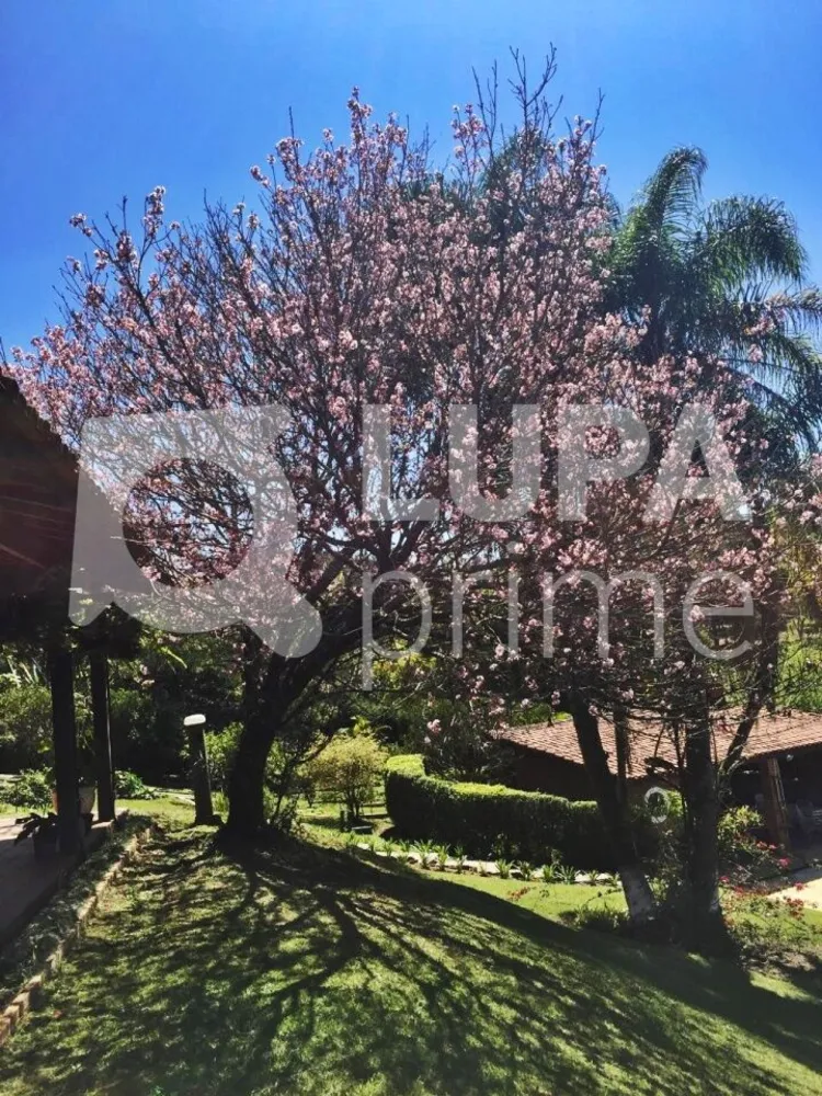 Chácara, 2 quartos, 7000 m² - Foto 2
