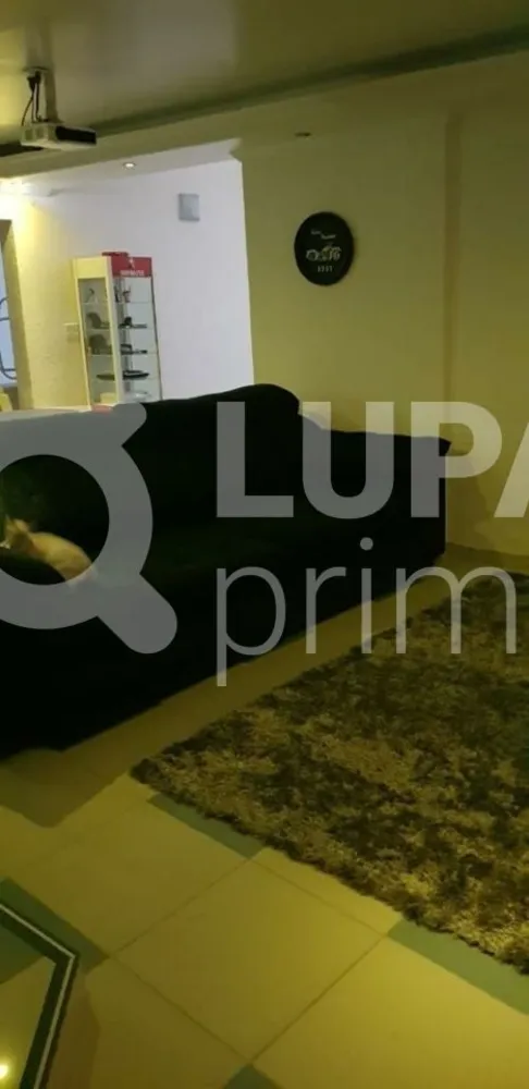 Casa, 3 quartos, 430 m² - Foto 6