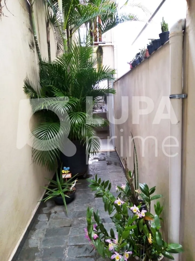 Casa, 4 quartos, 184 m² - Foto 12