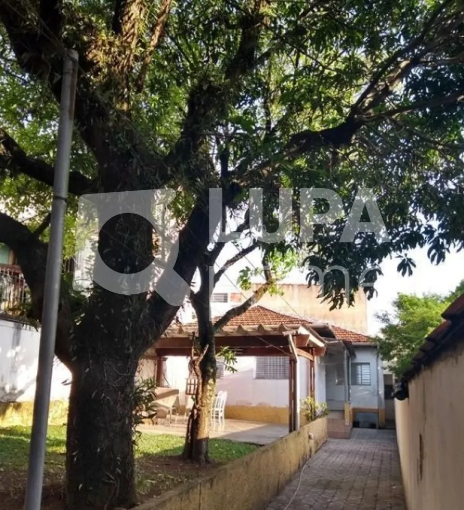 Casa, 3 quartos, 100 m² - Foto 9