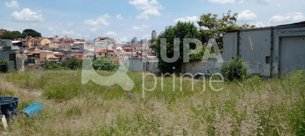 Terreno, 2009 m² - Foto 8
