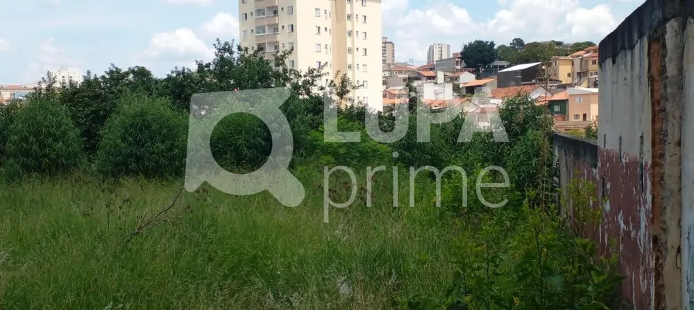 Terreno, 2009 m² - Foto 5