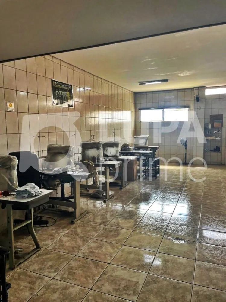 Casa, 5 quartos, 275 m² - Foto 11
