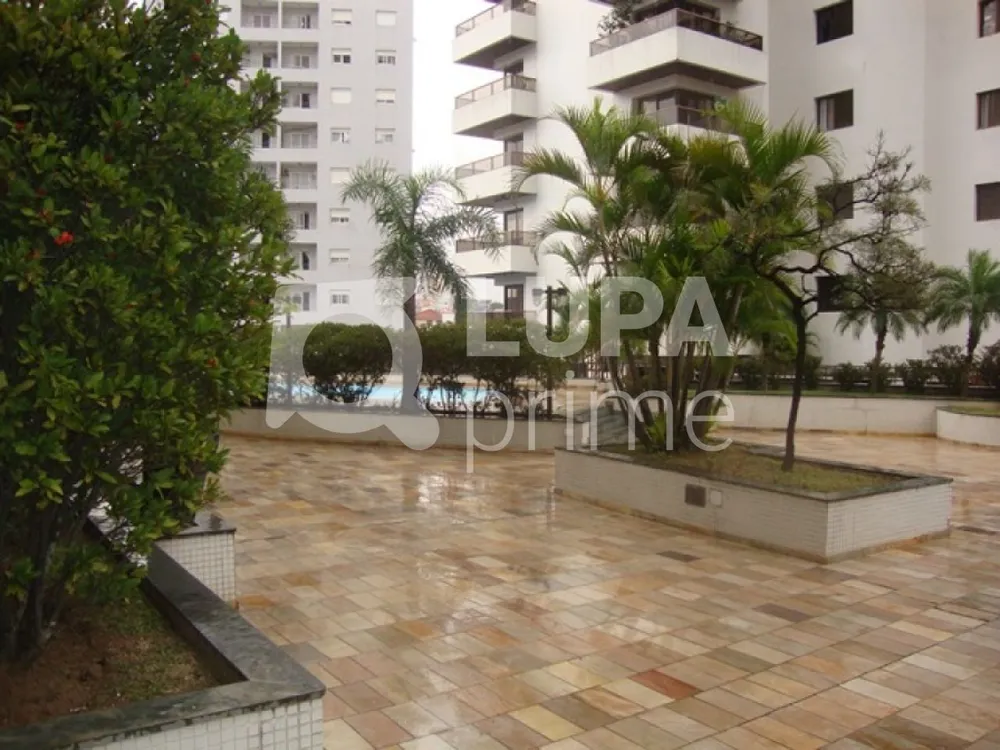 Apartamento, 3 quartos, 320 m² - Foto 7