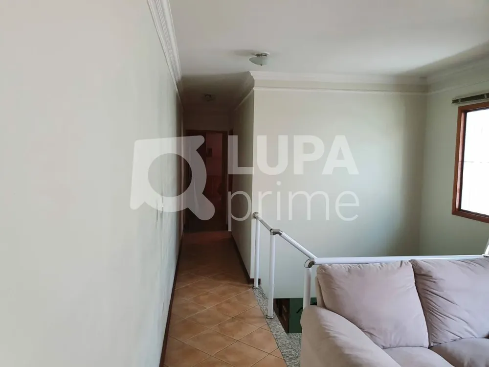 Casa, 4 quartos, 154 m² - Foto 3