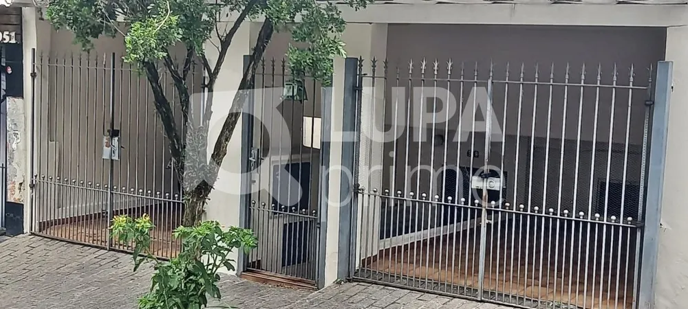 Casa, 4 quartos, 60 m² - Foto 6