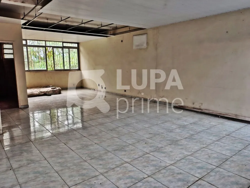 Depósito-Galpão, 5441 m² - Foto 4