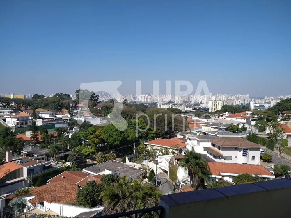 Casa, 3 quartos, 500 m² - Foto 8