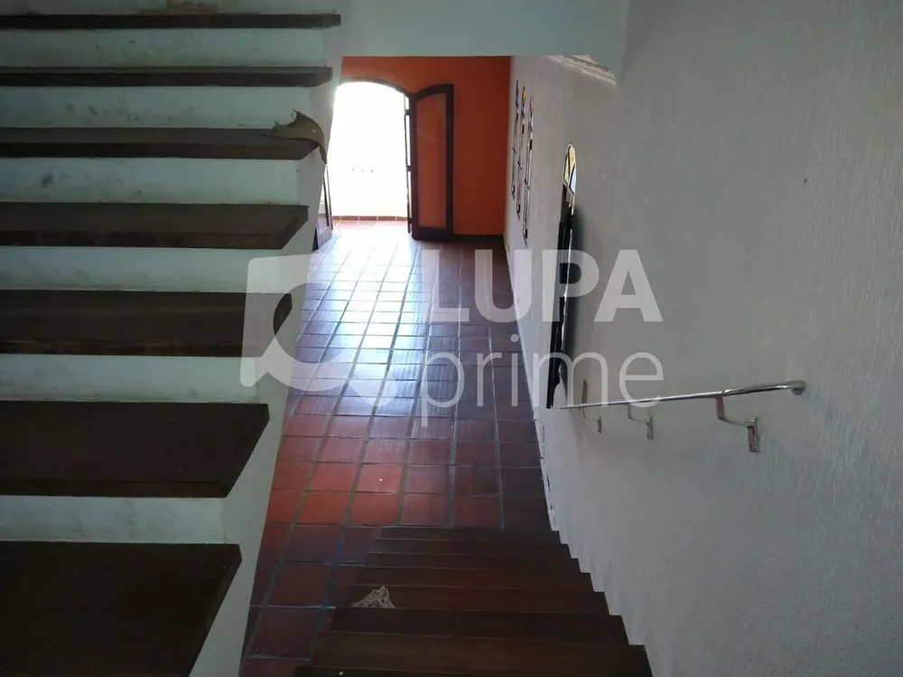 Casa, 3 quartos, 500 m² - Foto 9