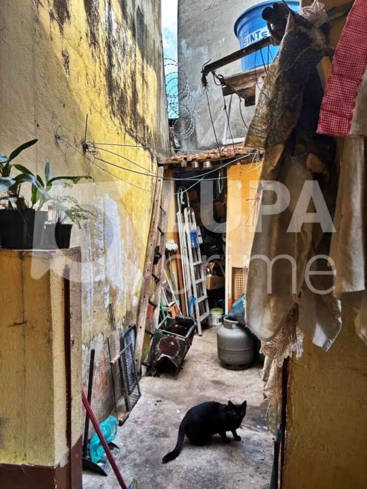 Casa, 3 quartos, 200 m² - Foto 11