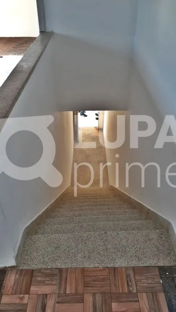 Casa, 3 quartos, 137 m² - Foto 14