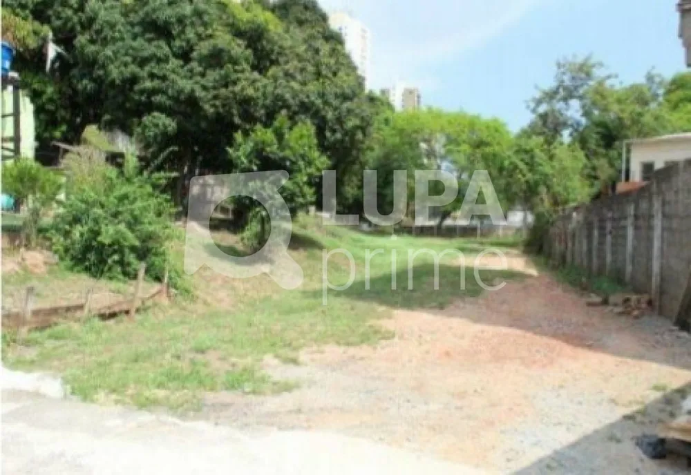 Terreno, 3532 m² - Foto 2