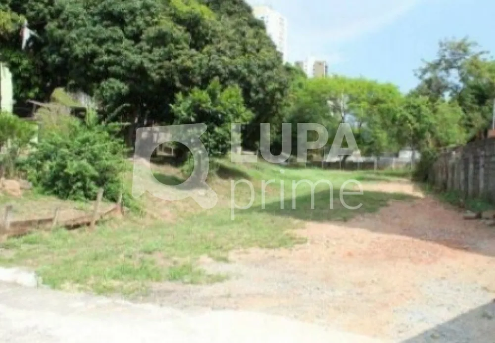 Terreno, 3532 m² - Foto 8