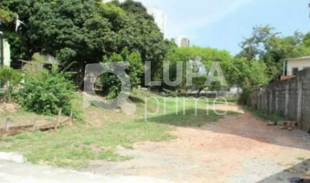 Terreno, 3532 m² - Foto 9