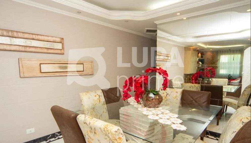 Casa, 3 quartos, 480 m² - Foto 9