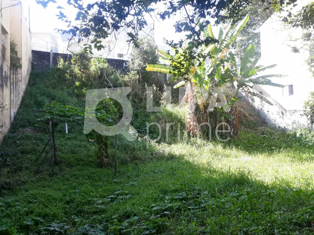 Terreno, 371 m² - Foto 3