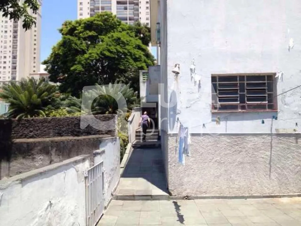 Casa, 3 quartos, 495 m² - Foto 7