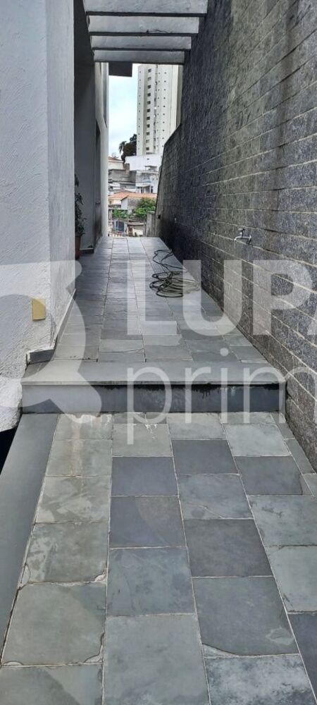 Casa, 4 quartos, 337 m² - Foto 11