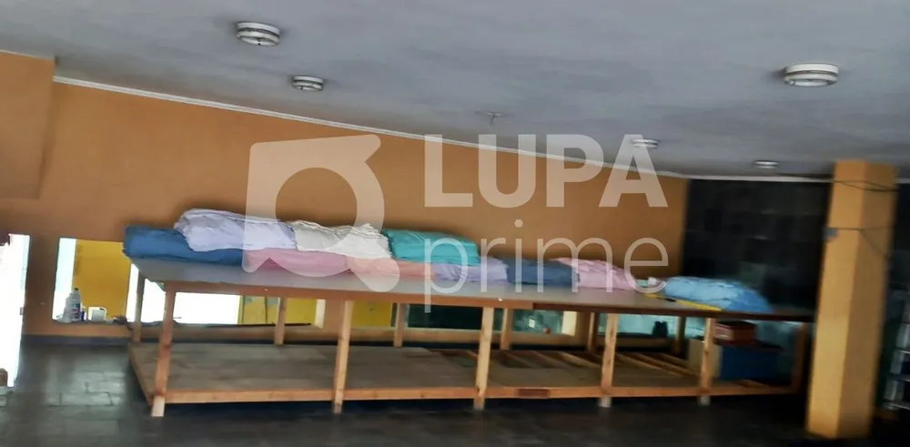 Casa, 4 quartos, 337 m² - Foto 22