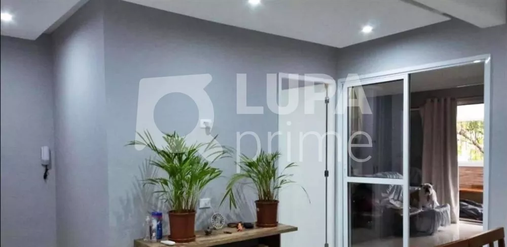 Apartamento à venda com 3 quartos, 75m² - Foto 2