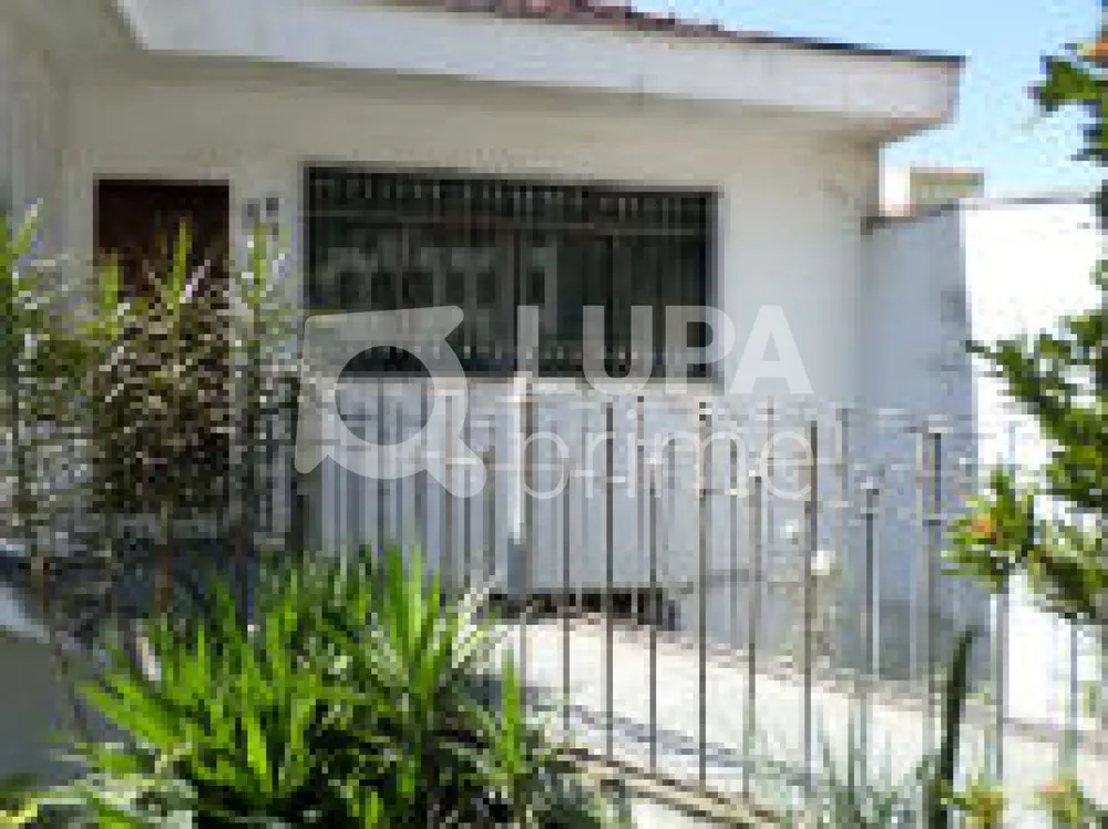 Casa, 4 quartos, 340 m² - Foto 6