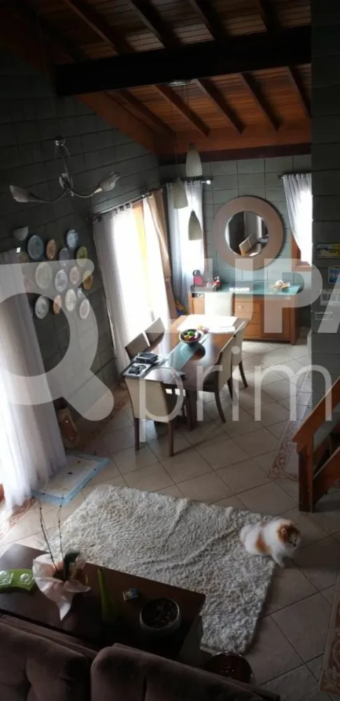 Casa, 4 quartos, 250 m² - Foto 11