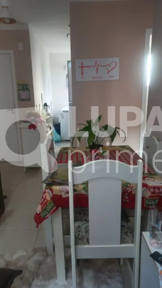Apartamento, 2 quartos, 39 m² - Foto 4