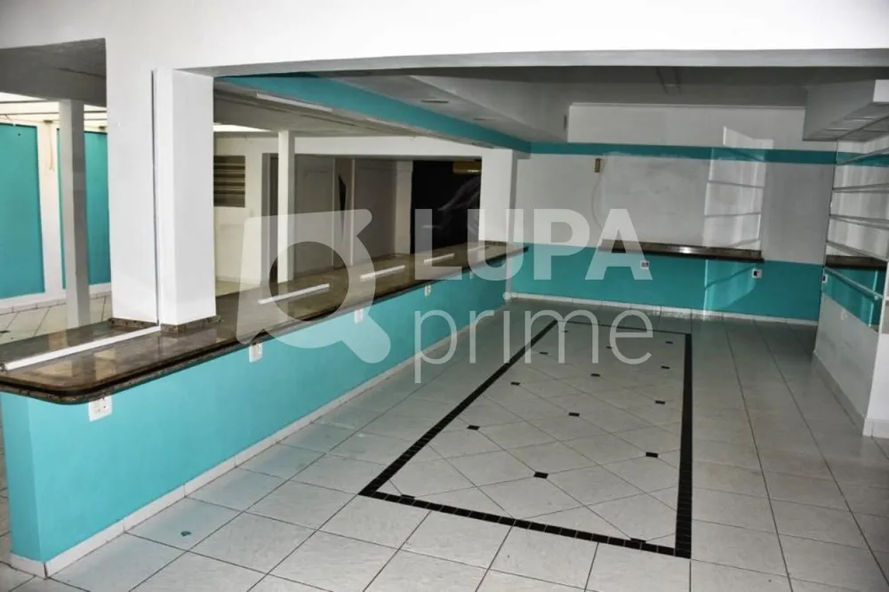 Casa, 5 quartos, 232 m² - Foto 19